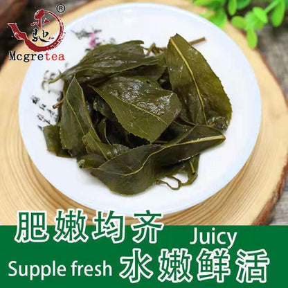 2023 New Fresh Taiwanese Oolong Tea Alishan Good Quality Wu Long Cha 300g