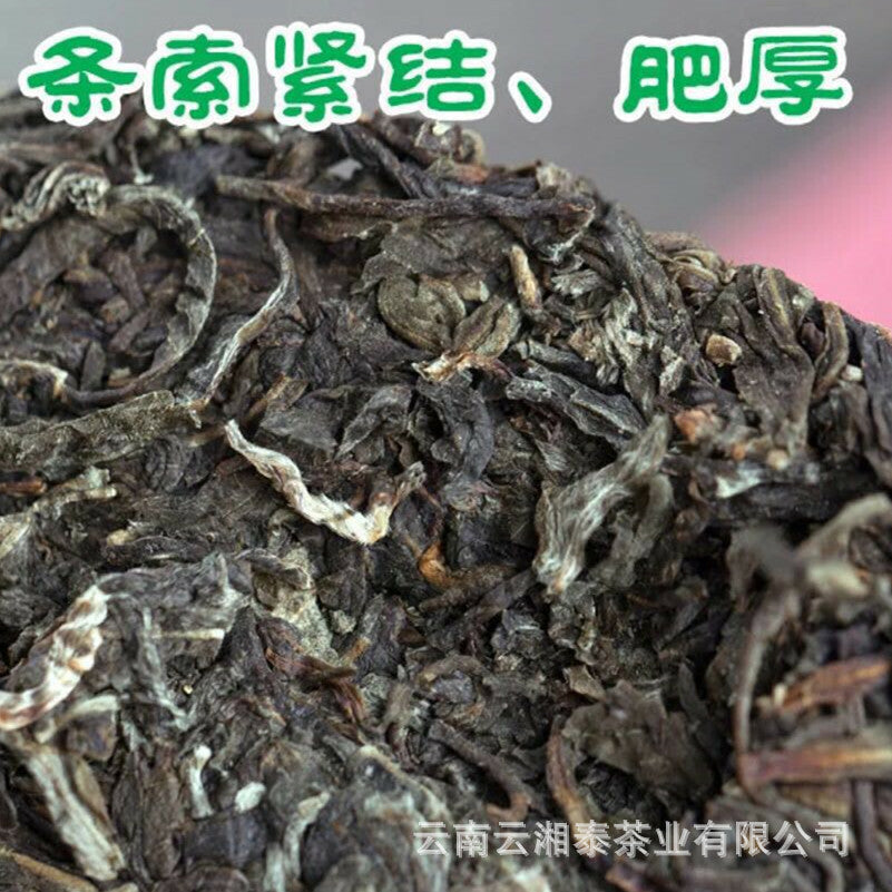 Yunnan Pu'er Tea 2015 Iceland Ancient Tree Early Spring Pu'er Raw Tea 357g -