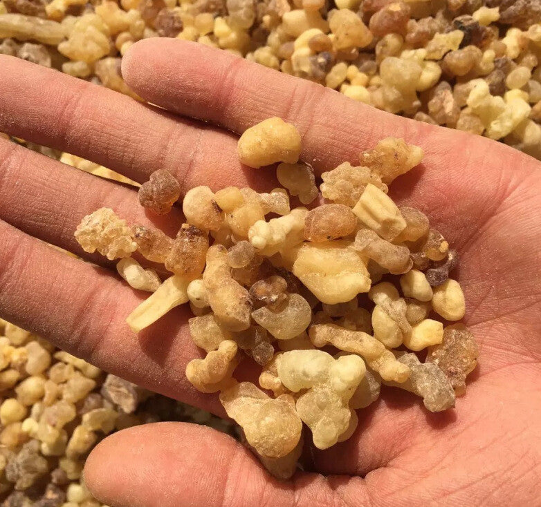 乳香珠Frankincense beads