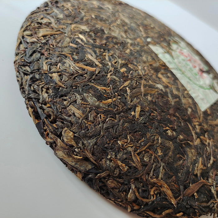 2007 Haiwan lao tong zhi 7038 Early Spring Yinhao Pu-erh Pu'er Raw Cake Tea 400g