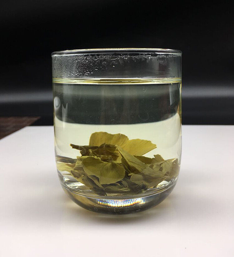 Bulk China Gingko Leaf Tea, yin xing blood pressure herbal Cha tee