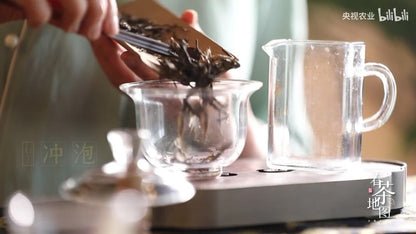 357g Yunnan Ancient Tree Puerh Tea Top-grade Xiaohusai Natural Cha Puer Tea