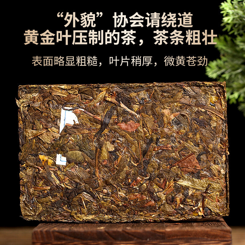 DR. PU'ER TEA Mengku Ba Nuo Yellow Leaf Huang Pian Puer Raw Tea Puerh Brick 500g
