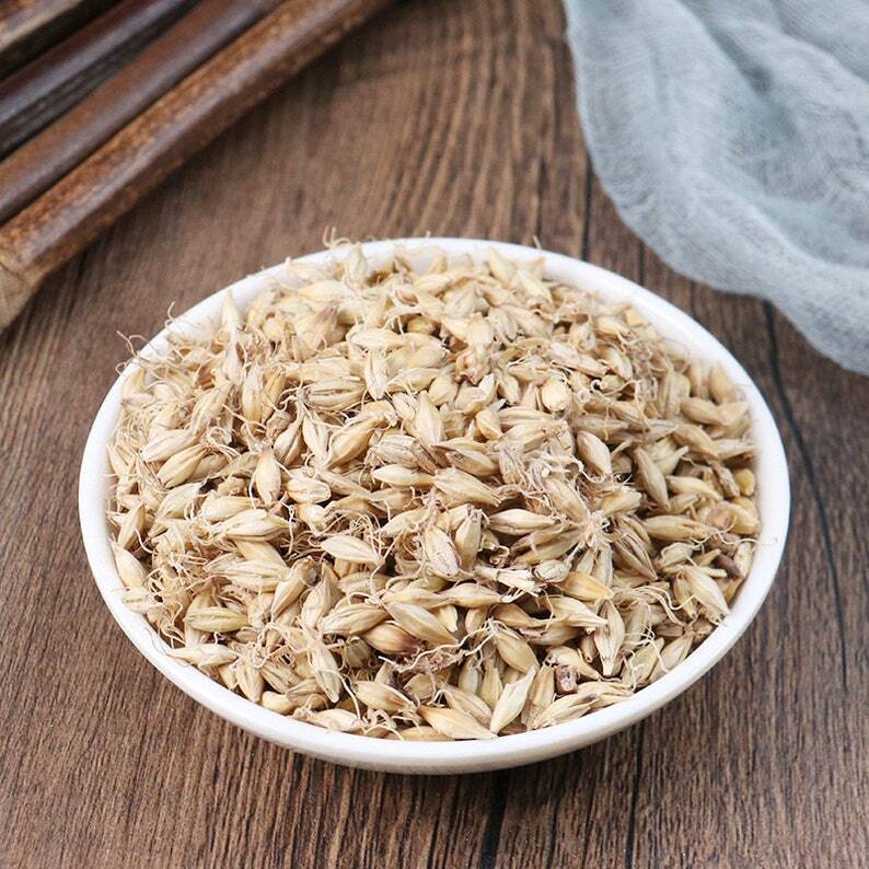 Organic herbal Fructus Hordei Germinatus Malt Hordeum Vulgare Great Quality