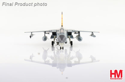1/200 German Storm Fighter Model Panavia Tornado IDS Alloy