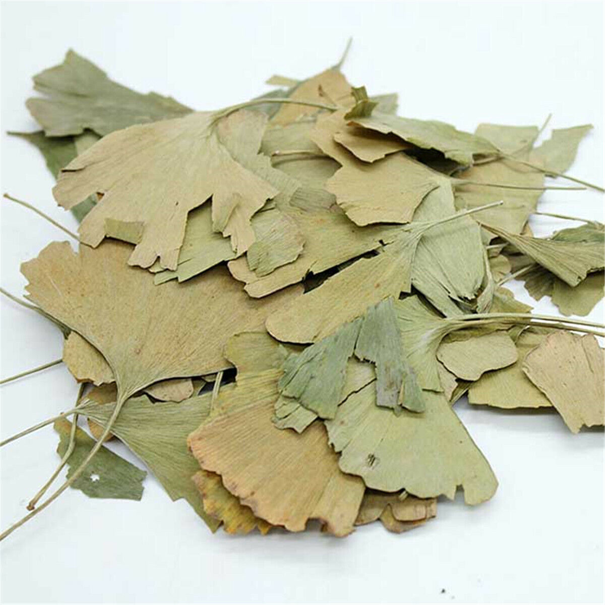 Ginkgo Biloba Leaves Chinese Wild Ginkgo Tea Medicinal Tea Herbal Tea