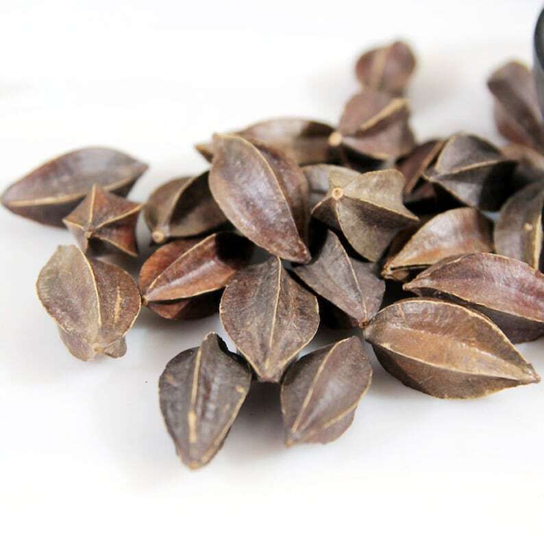 Organic Herbal Fructus Quisqualis Rangooncreeper Fruit Great Quality