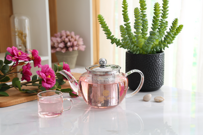 Clear Glass Teapot with Stainless Steel Infuser Leaf Tea Pot Tool Kettle Set