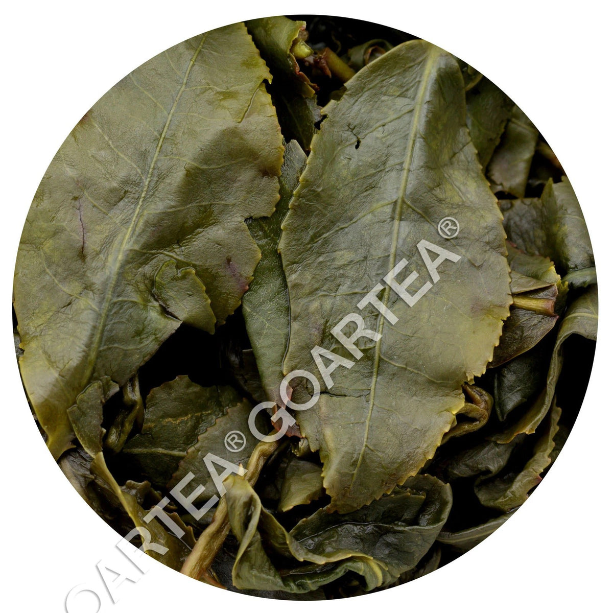 500g Premium Taiwan Dongding Oolong Tea High Mountain Tung-ting Green Loose