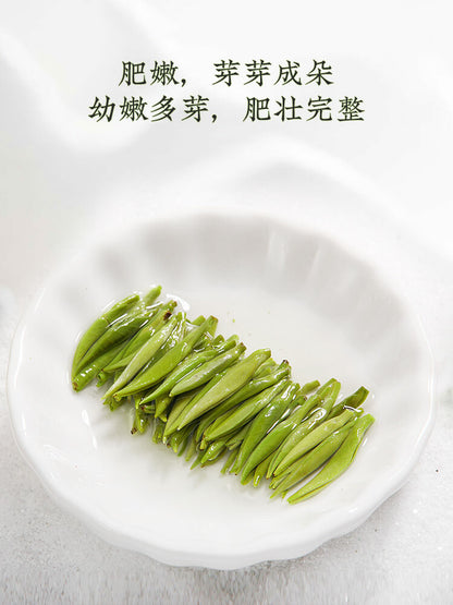 Sichuan Ming Qian Silver Jar Que She Tea Sparrow's Tongue Chinese Green Tea 100g