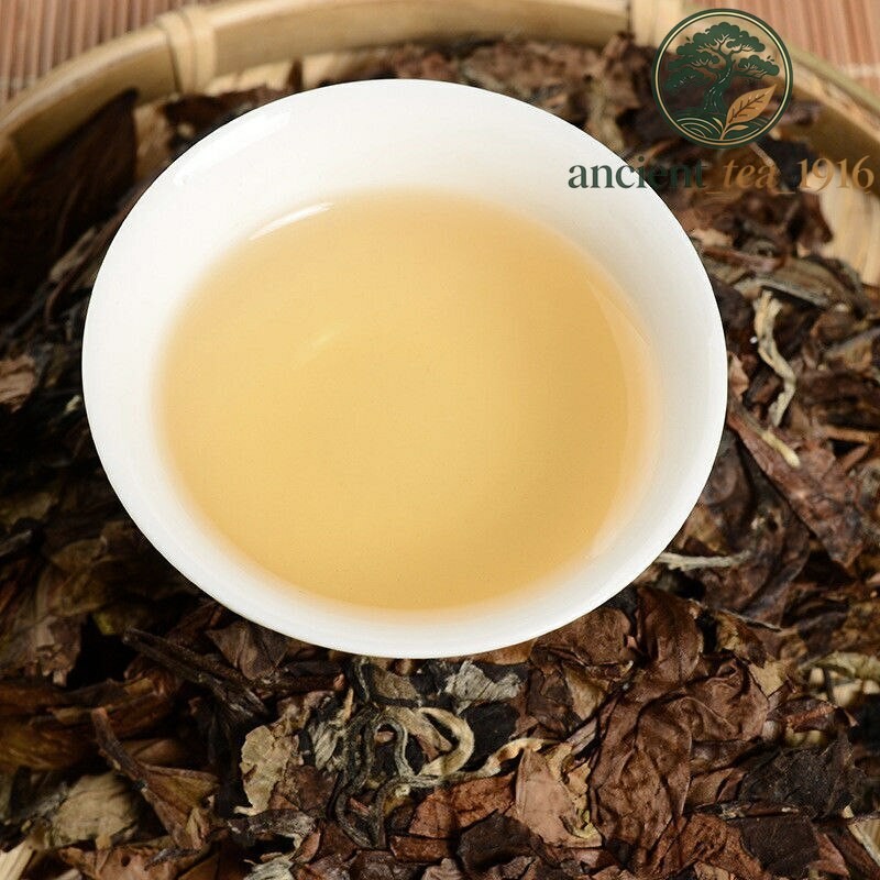 350g White Tea Cake Premium Aged Fuding Shou Mei Long Life Eyebrow Tea
