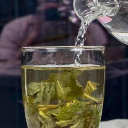 Mentafollia Ecology Dried Mint Tea Peppermint Leaf Herbal Tea Top Pennyroyal Tea