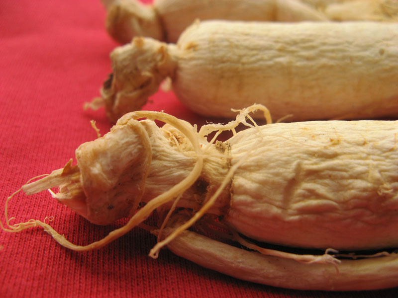 100g Korean Bulk White Ginseng Root Northeast China Changbai Mountain 3.5 oz-