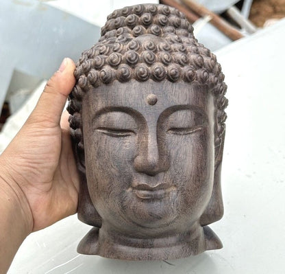 8.3" Natural Agilawood Carved Sakyamuni Buddha Head Statue Buddhism Collect