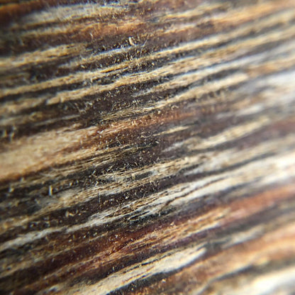 Agarwood Chips Oud Chips | Incense Aroma High Quality Natural Wild And Rare 50g