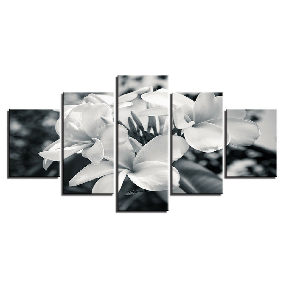 Black And White Flower Plumeria Canvas Prints Painting Wall Art Home Decor 5PCS