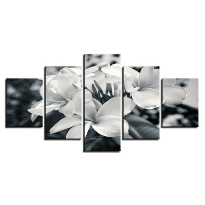 Black And White Flower Plumeria Canvas Prints Painting Wall Art Home Decor 5PCS