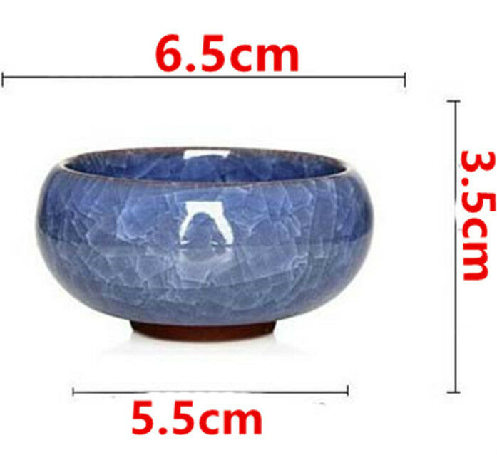 Colorful Ice-Crackle Porcelain 8 Colors Tea Cup With Fish Pattern Ceramic saucer