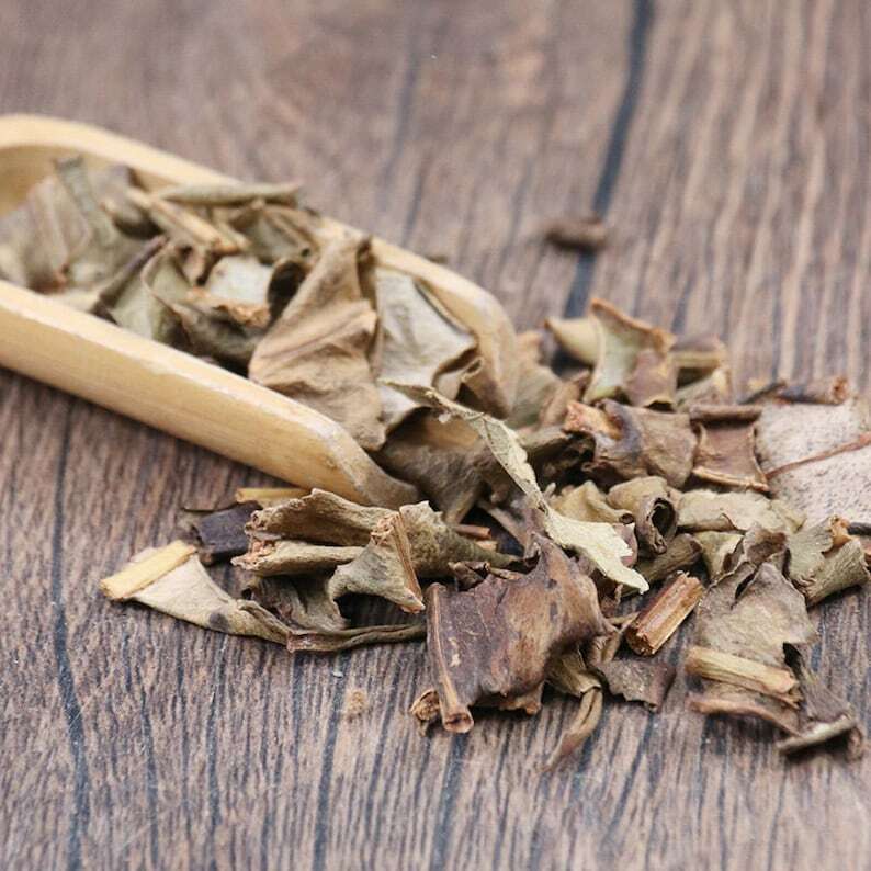 Organic Herbal Pyrrosiae Folium Pyrrosia Lingua Great Quality