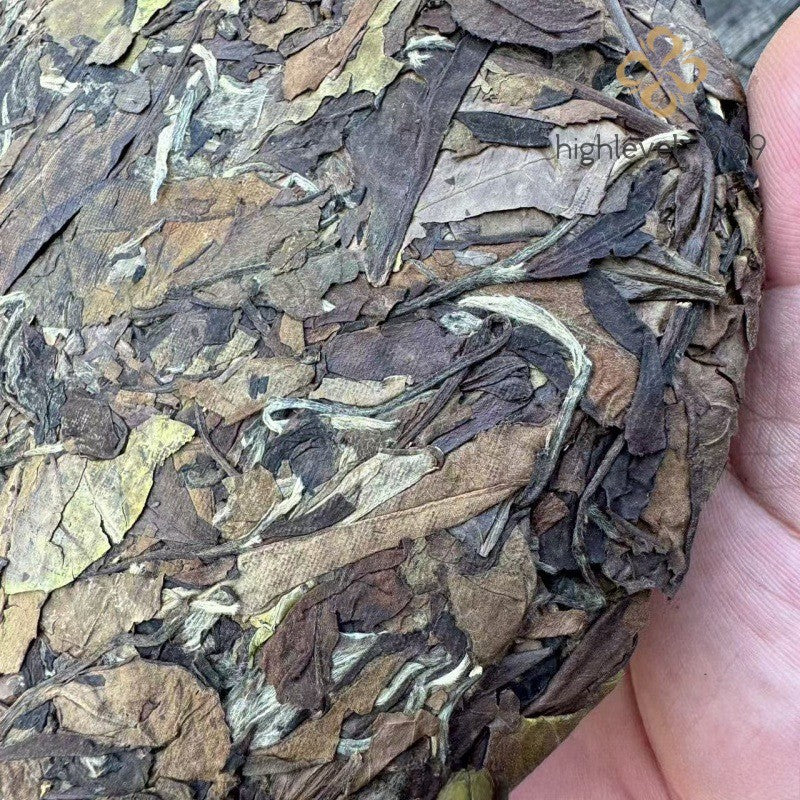 350g White Tea Cake 2013 Shoumei Fuding High Mountain Jujube Aroma Aged Tea