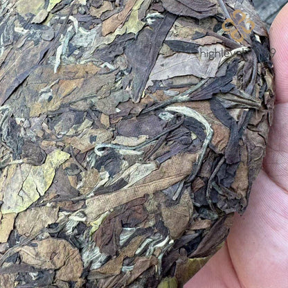 350g White Tea Cake 2013 Shoumei Fuding High Mountain Jujube Aroma Aged Tea