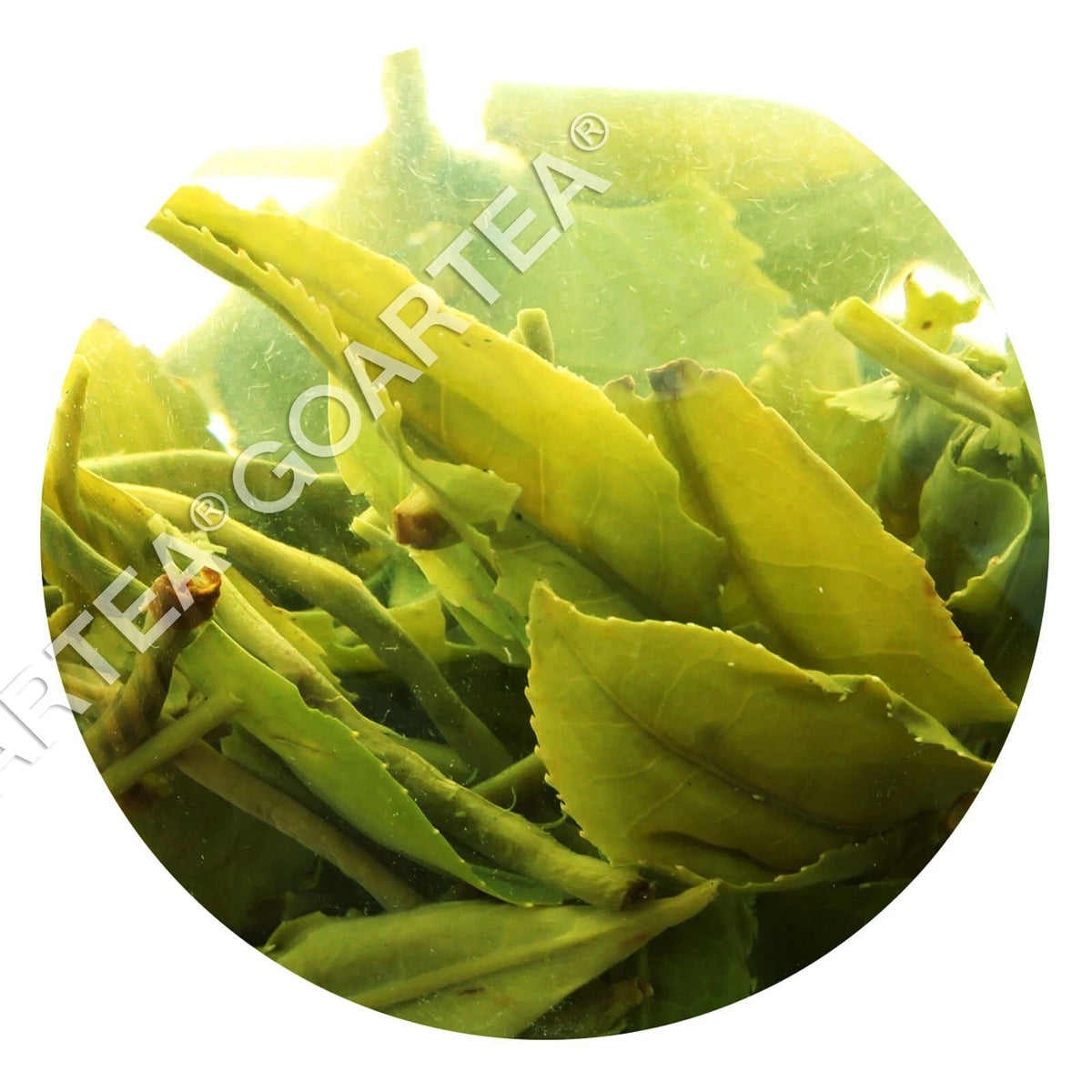1000g Supreme Suzhou Biluochun Green Tea Spring Chinese Pi lo Chun Loose Leaf