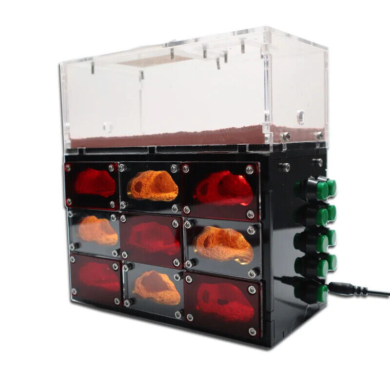 Ant Farm With Independent Lights Control Ecological Insect Anthill Nest Workshop