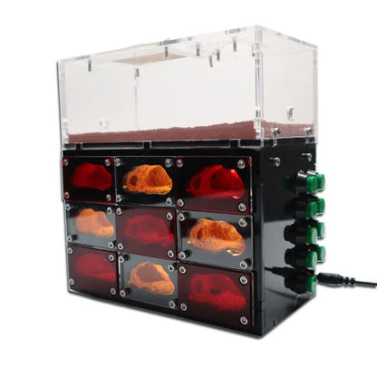 Ant Farm With Independent Lights Control Ecological Insect Anthill Nest Workshop