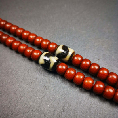 Tibetan Tiger Tooth Dzi Marker Beads for Mala Necklace Accessories