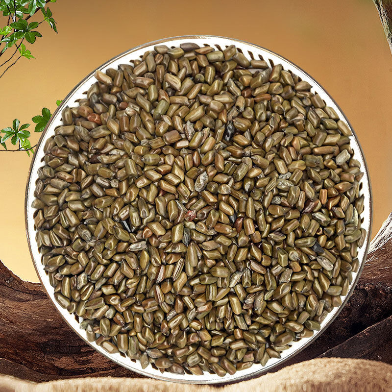 High Quality Cassia Seed 400g/can Chinese Herbs Soaked in Water Cassia Seed Tea