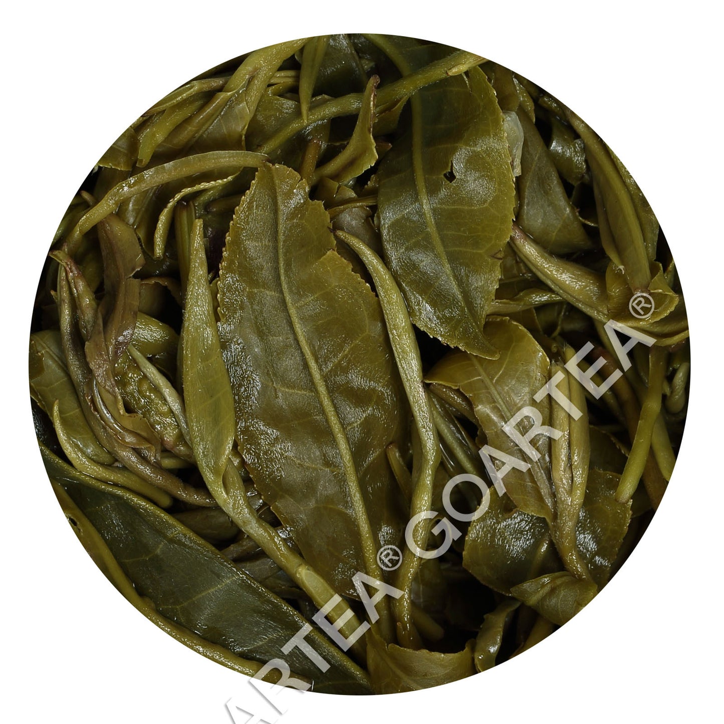 GOARTEA 250g Nonpareil Supreme Biluochun Green Tea Pi lo Chun Green Tea Snail-