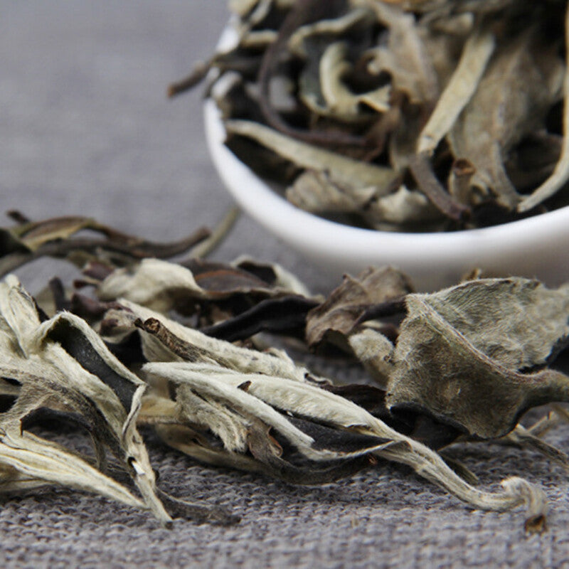 Moonlight White Pu Erh Tea Raw Loose Leaf Yunnan Premium Specialty 500g