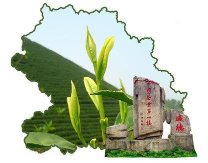 100g Chinese Silver Needle White Tea Anti-old Health Care Tea Organic Green Food