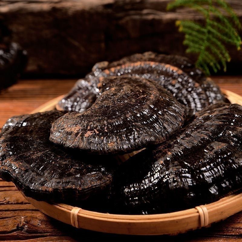 Pure Natural Black Lingzhi – Authentic Whole Dried Reishi Mushrooms 500g