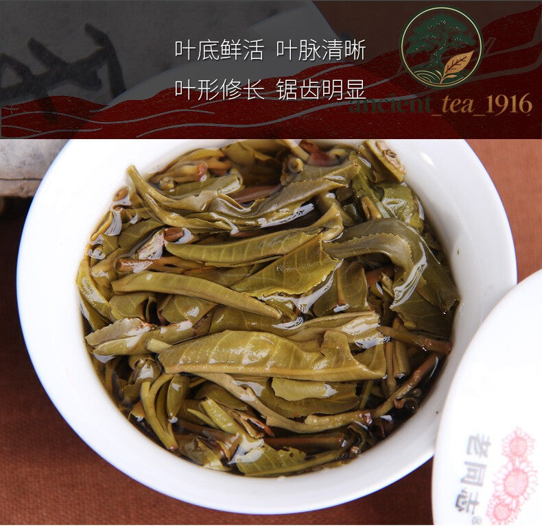 357g Haiwan 2017 Old Comrade Made Good Tea for Everyone Pu-erh Pu'er Raw Cake