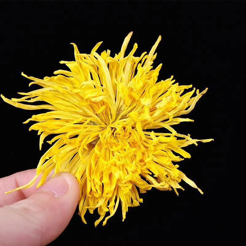 Chinese Big Golden Chrysanthemum Flower Tea-Healthy Dried Flower Tea(Ju Hua Cha)