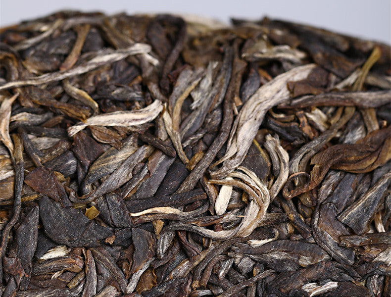 Haiwan High Mountain Ancient Tree 2019 Old Comrade Batch 191 Raw Puer Tea 500g