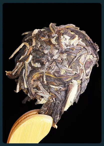 500g YunNan BuLangShan Uncooked pu'erh tea ancient tree Dry storage Raw Pu'er