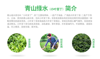 Wild Kuding Tea Qing Shan Lu Shui Bitter Tea Ku Ding Small Leaf