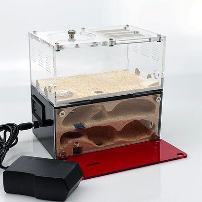 Insect House Ant Farm Colony Formicarium Auto Heating 15x10x13.5cm Concrete Sand