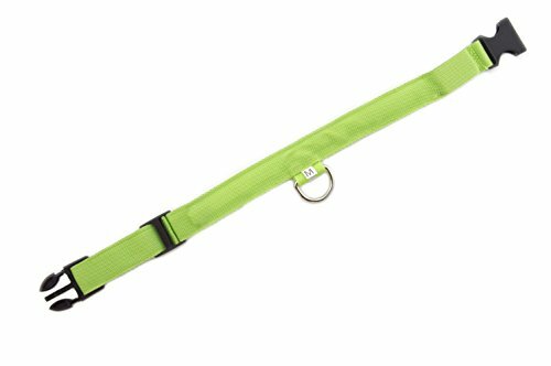 Green Light-Up LED Adjustable Pet Collar - Flashing or Steady Modes
