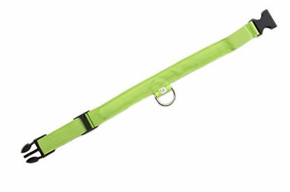 Green Light-Up LED Adjustable Pet Collar - Flashing or Steady Modes