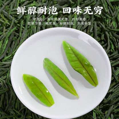 Lu'an Gua Pian 绿茶新茶正品原产地浓香气型茶 250 克-