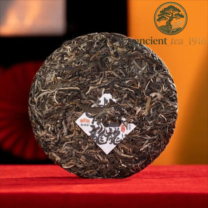 400g Haiwan 2024 Raw Puer tea "Dragon" Teng Da Raw Pu Er Cake