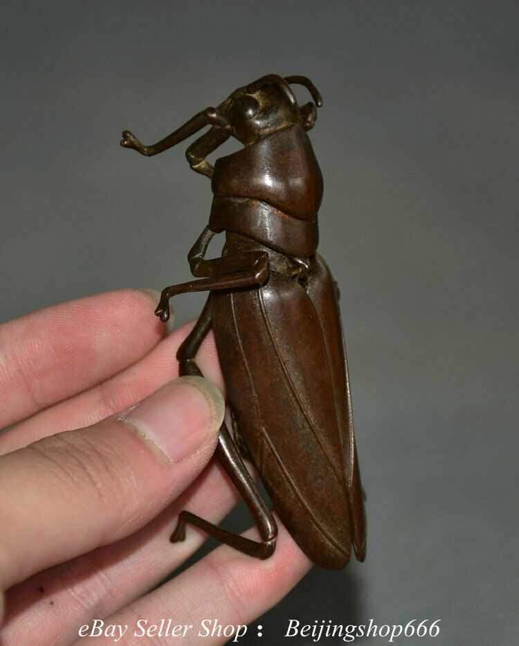 3.4" Exquisite Old Chinese Red Bronze Insect Locust Wing Statue Sculpture
