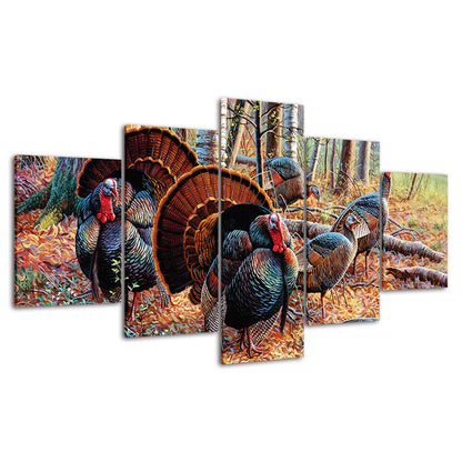 Turkey Wildlife Turkeys Animals Canvas Prints Painting Wall Art Home Decor 5PCS