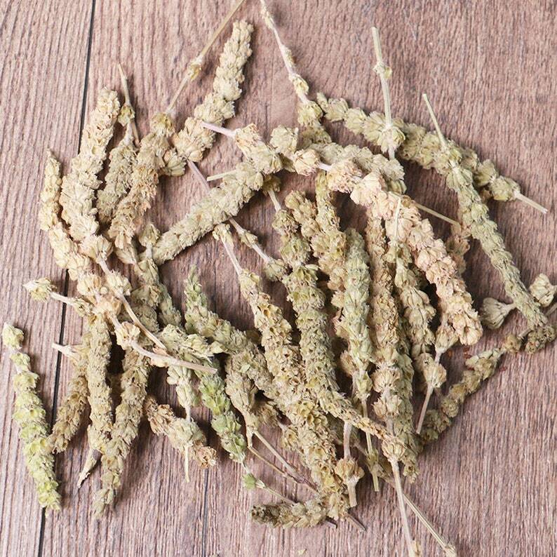 Organic Herbal Fineleaf Schizonepeta Herb Herbal Schizonepetae Healthy Tea