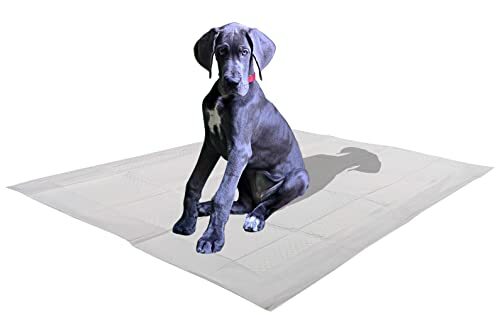 25 Count X-Large Leak-Proof Pee Pads with Attractant Scent for Potty Training