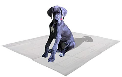 25 Count X-Large Leak-Proof Pee Pads with Attractant Scent for Potty Training