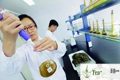 500g Top Grade Chinese Yunnan Original Puer Tea Health Care Tea Ripe Pu Er Puerh
